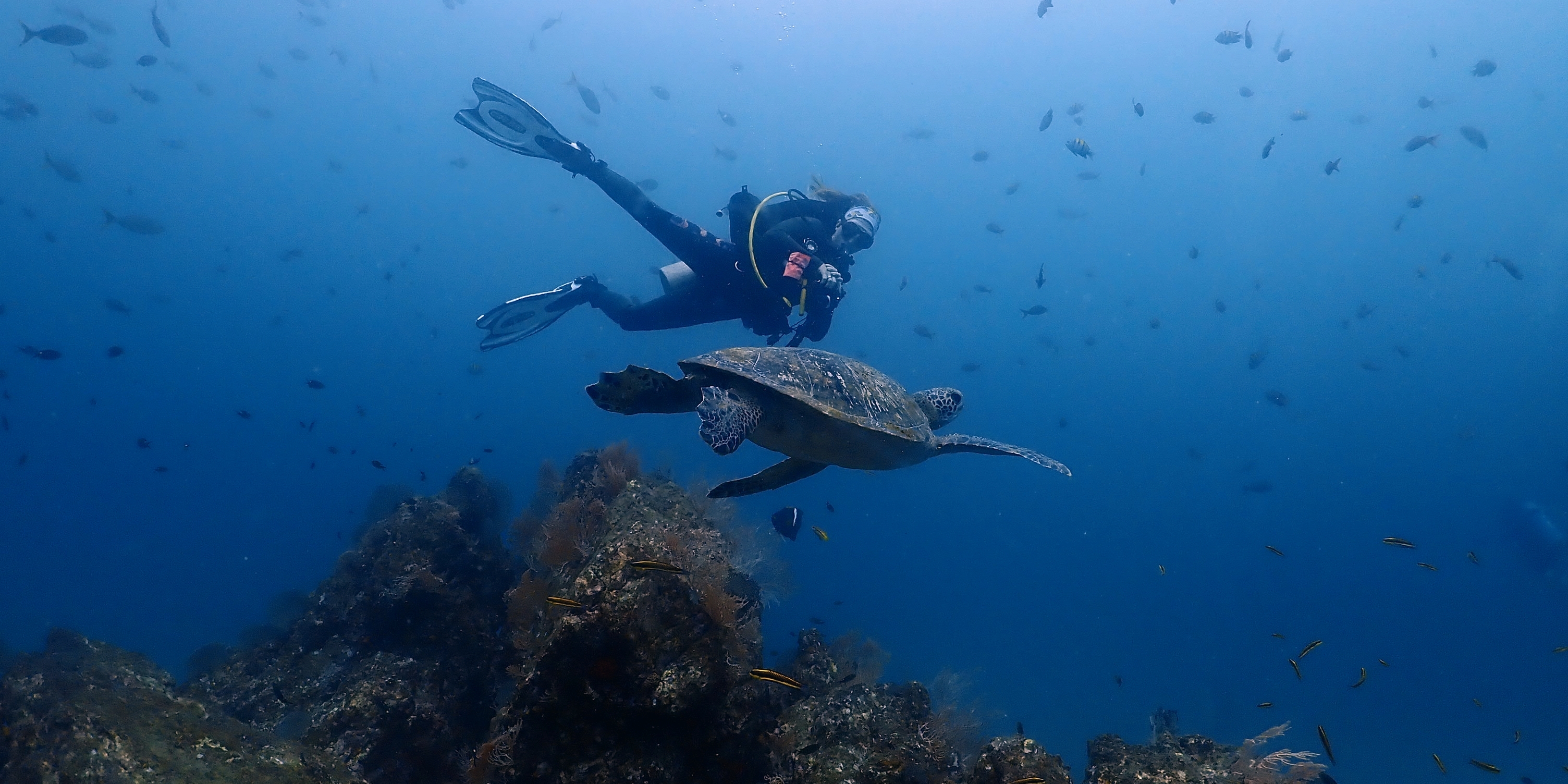 PADI Courses
